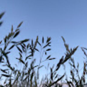 Meet your Posher, Ashlee